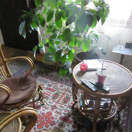 Be My Guest * Sofia